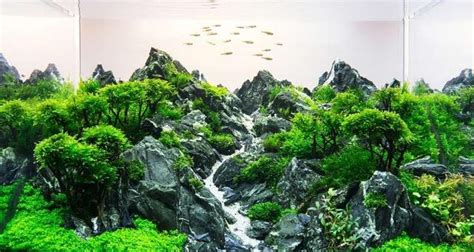 圓形魚缸造景|魚缸造景教程：超簡單，一學就會！